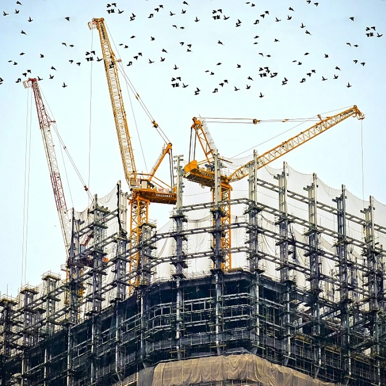 L'importance des palissades de chantier dans le secteur de la construction